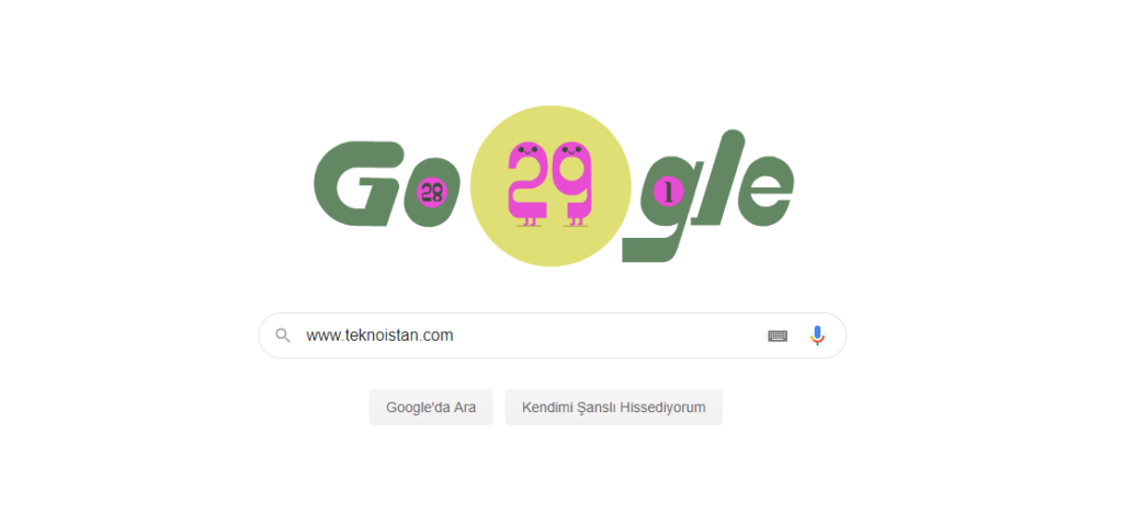 Google "29 Şubat" Artın Gün