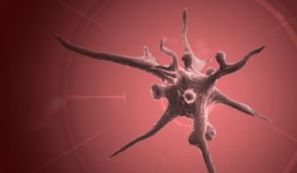 Plague INC, Corona Virüsü yüzünden Çin’de Yasaklandı!