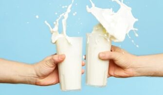 BİM Pınar Organik Yağlı Süt Fiyatı (2022) Ne Kadar?