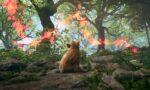 Adorable Adventures