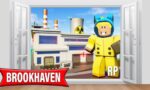 Brookhaven 11